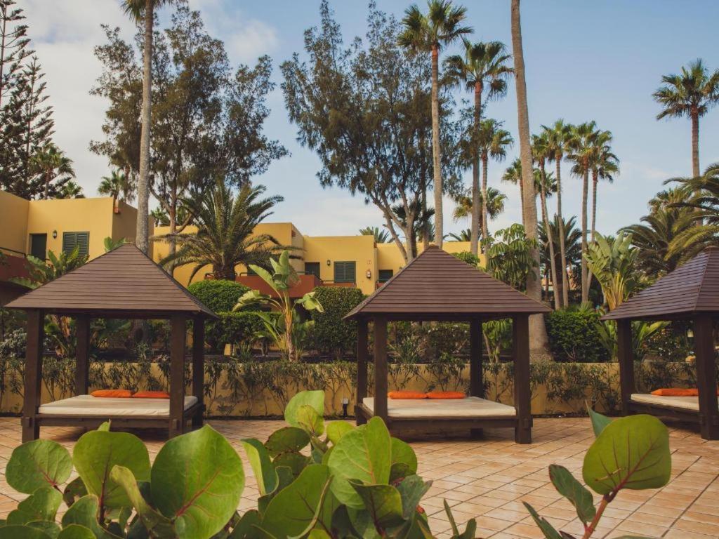 Pachi Beach Atlantic Garden Corralejo Dış mekan fotoğraf